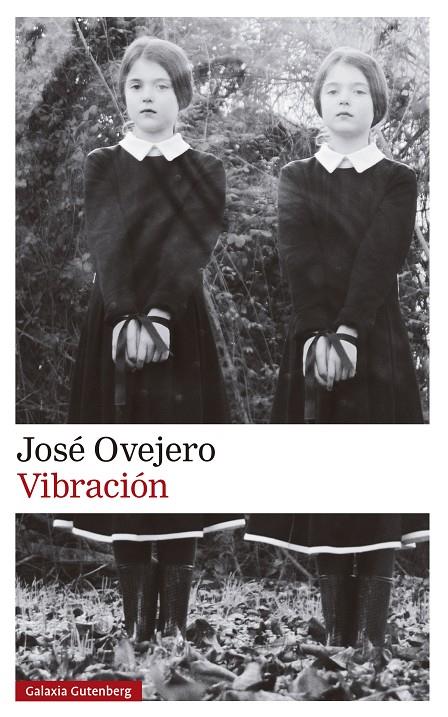 VIBRACIÓN | 9788419738615 | OVEJERO, JOSÉ | Galatea Llibres | Llibreria online de Reus, Tarragona | Comprar llibres en català i castellà online