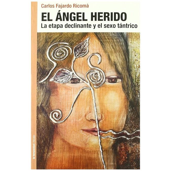 ÁNGEL HERIDO | 9788479481063 | FAJARDO RICOMÁ, CARLOS | Galatea Llibres | Llibreria online de Reus, Tarragona | Comprar llibres en català i castellà online