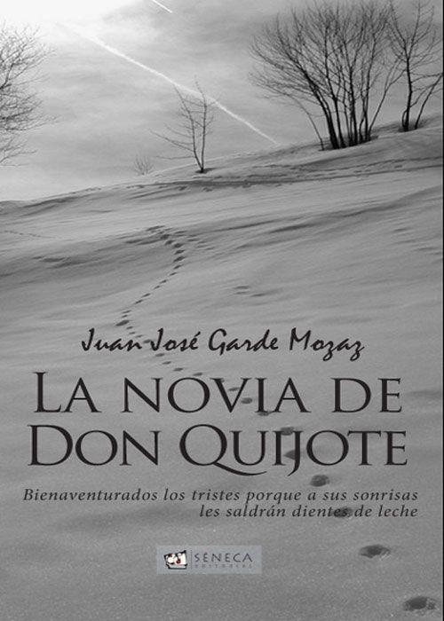 NOVIA DE DON QUIJOTE, LA | 9788493569747 | GARDE MOZAZ, JUAN JOSÉ | Galatea Llibres | Llibreria online de Reus, Tarragona | Comprar llibres en català i castellà online