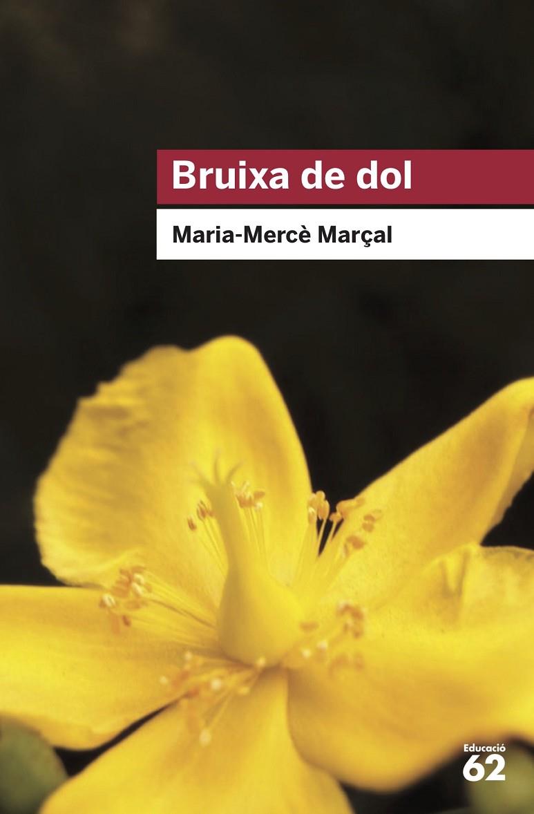 BRUIXA DE DOL (1977-1979) | 9788415954736 | MARÇAL SERRA, M. MERCÈ | Galatea Llibres | Librería online de Reus, Tarragona | Comprar libros en catalán y castellano online