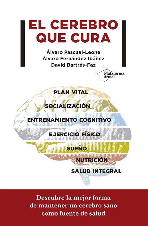 EL CEREBRO QUE CURA | 9788417622299 | VV.AA. | Galatea Llibres | Librería online de Reus, Tarragona | Comprar libros en catalán y castellano online