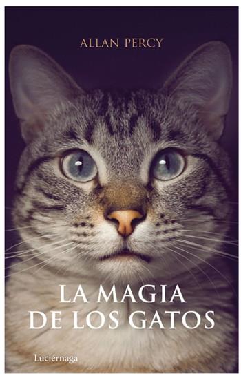 MAGIA DE LOS GATOS, LA | 9788492545063 | PERCY, ALLAN | Galatea Llibres | Llibreria online de Reus, Tarragona | Comprar llibres en català i castellà online