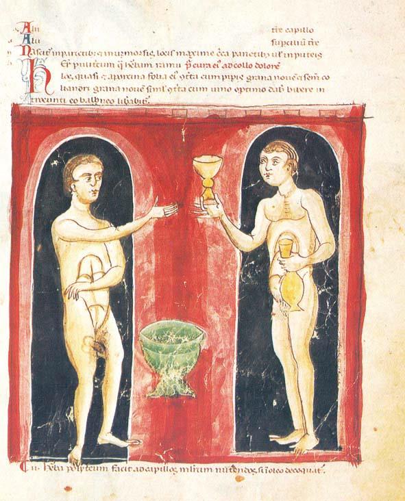 ESPLENDOR DEL MEDIEVO. MEDICINA ANTIGUA | 9788486760472 | AAVV | Galatea Llibres | Llibreria online de Reus, Tarragona | Comprar llibres en català i castellà online