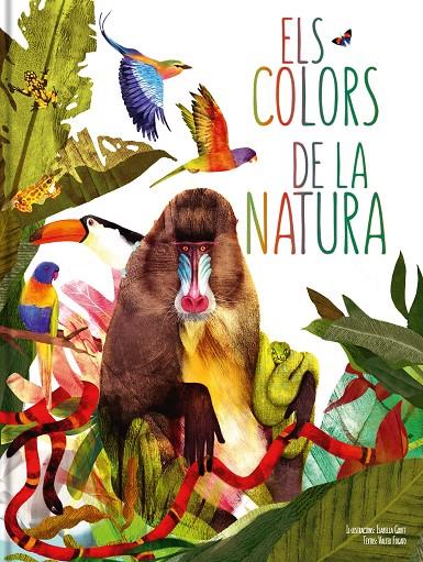 ELS COLORS DE LA NATURA | 9788413342320 | GROTT, ISABELLA | Galatea Llibres | Llibreria online de Reus, Tarragona | Comprar llibres en català i castellà online