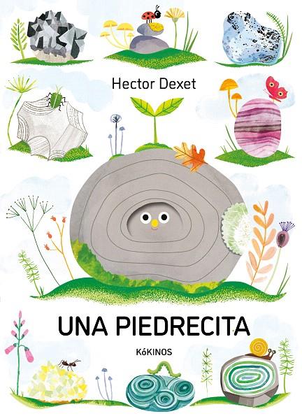 UNA PIEDRECITA | 9791387686406 | DEXET, HECTOR | Galatea Llibres | Librería online de Reus, Tarragona | Comprar libros en catalán y castellano online