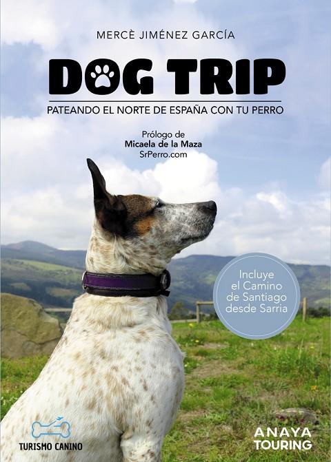 DOG TRIP - PATEANDO EL NORTE DE ESPAÑA CON TU PERRO | 9788491584476 | JIMÉNEZ GARCÍA, MERCÈ | Galatea Llibres | Librería online de Reus, Tarragona | Comprar libros en catalán y castellano online
