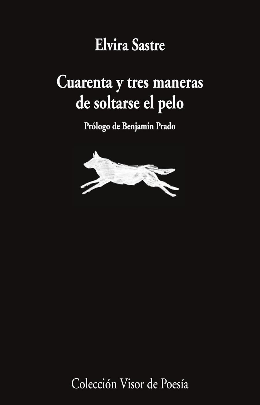 CUARENTA Y TRES MANERAS DE SOLTARSE EL PELO | 9791387745868 | SASTRE, ELVIRA | Galatea Llibres | Librería online de Reus, Tarragona | Comprar libros en catalán y castellano online