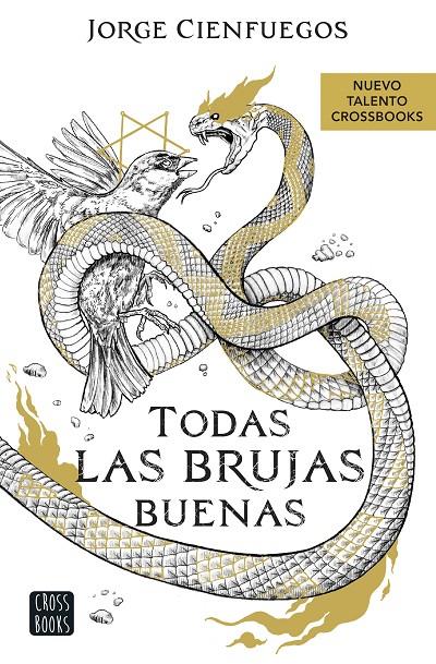 TODAS LAS BRUJAS BUENAS | 9788408260066 | CIENFUEGOS, JORGE | Galatea Llibres | Librería online de Reus, Tarragona | Comprar libros en catalán y castellano online