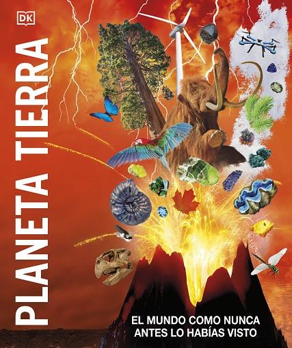 PLANETA TIERRA | 9780241582817 | Galatea Llibres | Librería online de Reus, Tarragona | Comprar libros en catalán y castellano online