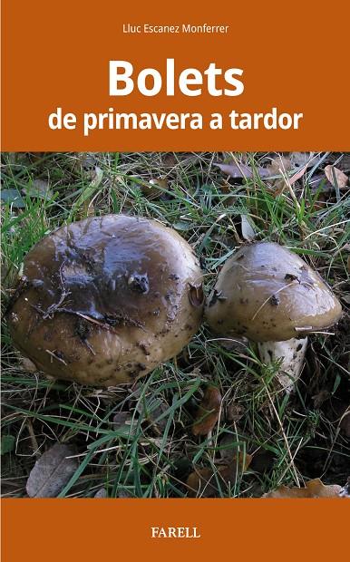 BOLETS DE PRIMAVERA A TARDOR | 9788417116538 | ESCANEZ MONFERRER, LLUC | Galatea Llibres | Librería online de Reus, Tarragona | Comprar libros en catalán y castellano online