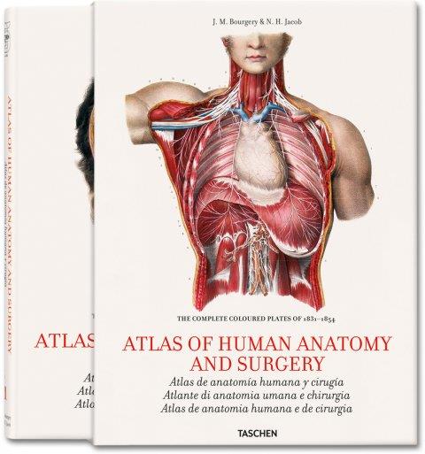 ATLAS OF HUMAN ANATOMY AND SURGERY | 9783836534499 | BOURGERIE - JACOB | Galatea Llibres | Llibreria online de Reus, Tarragona | Comprar llibres en català i castellà online