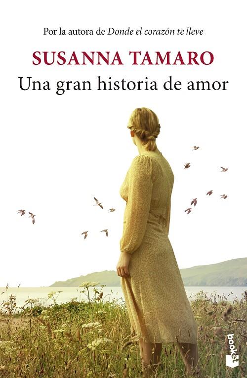 UNA GRAN HISTORIA DE AMOR | 9788432242618 | TAMARO, SUSANNA | Galatea Llibres | Llibreria online de Reus, Tarragona | Comprar llibres en català i castellà online