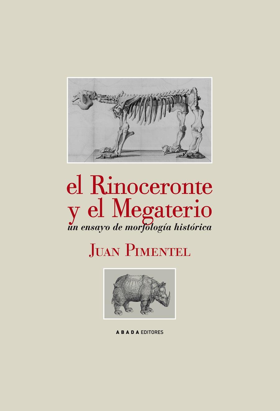 RINOCERONTE Y EL MEGATERIO, EL | 9788496775671 | PIMENTEL, JUAN | Galatea Llibres | Llibreria online de Reus, Tarragona | Comprar llibres en català i castellà online