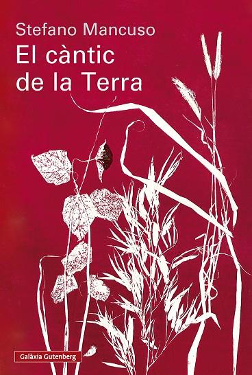 EL CÀNTIC DE LA TERRA | 9791388019852 | MANCUSO, STEFANO | Galatea Llibres | Llibreria online de Reus, Tarragona | Comprar llibres en català i castellà online