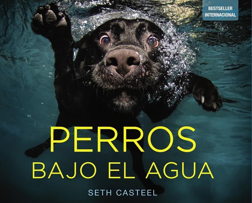 PERROS BAJO EL AGUA | 9788441534612 | CASTEL, SETH | Galatea Llibres | Librería online de Reus, Tarragona | Comprar libros en catalán y castellano online