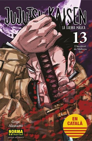 JUJUTSU KAISEN 13 CAT | 9788467957679 | AKUTAMI, GEGE | Galatea Llibres | Librería online de Reus, Tarragona | Comprar libros en catalán y castellano online