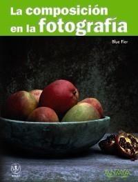 COMPOSICIÓN EN LA FOTOGRAFÍA | 9788441526983 | FIER, BLUE | Galatea Llibres | Librería online de Reus, Tarragona | Comprar libros en catalán y castellano online