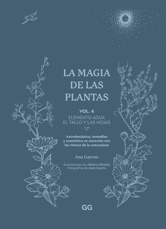 LA MAGIA DE LAS PLANTAS VOL.4 | 9788425235641 | GAYOSO, ANA | Galatea Llibres | Llibreria online de Reus, Tarragona | Comprar llibres en català i castellà online