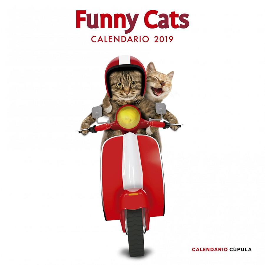 CALENDARIO 2019 FUNNY CATS | 9788448024628 | Galatea Llibres | Librería online de Reus, Tarragona | Comprar libros en catalán y castellano online