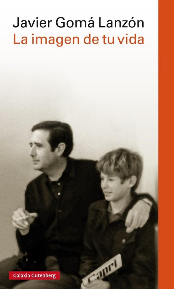 LA IMAGEN DE TU VIDA | 9788416252121 | GOMÁ LANZÓN, JAVIER | Galatea Llibres | Librería online de Reus, Tarragona | Comprar libros en catalán y castellano online