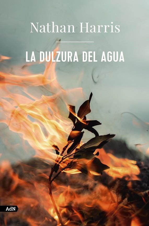 LA DULZURA DEL AGUA | 9788413626963 | HARRIS, NATHAN | Galatea Llibres | Librería online de Reus, Tarragona | Comprar libros en catalán y castellano online