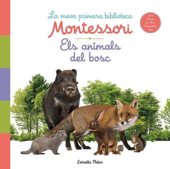 ELS ANIMALS DEL BOSC. LA MEVA PRIMERA BIBLIOTECA MONTESSORI | 9788413890159 | Galatea Llibres | Llibreria online de Reus, Tarragona | Comprar llibres en català i castellà online