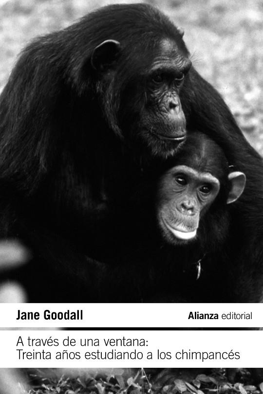 A TRAVÉS DE UNA VENTANA: TREINTA AÑOS ESTUDIANDO A LOS CHIMPANCÉS | 9788411485609 | GOODALL, JANE | Galatea Llibres | Librería online de Reus, Tarragona | Comprar libros en catalán y castellano online
