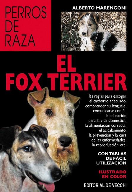 EL FOX TERRIER | 9788431512255 | MARENGONI, A | Galatea Llibres | Llibreria online de Reus, Tarragona | Comprar llibres en català i castellà online