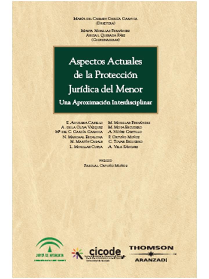 ASPECTOS ACTUALES DE LA PROTECCION JURIDICA DEL MENOR 1ª ED | 9788483558874 | GARCIA GARNICA, CARMEN | Galatea Llibres | Librería online de Reus, Tarragona | Comprar libros en catalán y castellano online
