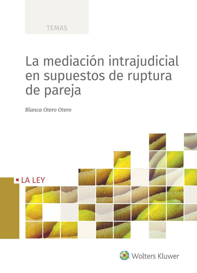 LA MEDIACIÓN INTRAJUDICIAL EN SUPUESTOS DE RUPTURA DE PAREJA | 9788418662164 | OTERO OTERO, BLANCA | Galatea Llibres | Llibreria online de Reus, Tarragona | Comprar llibres en català i castellà online