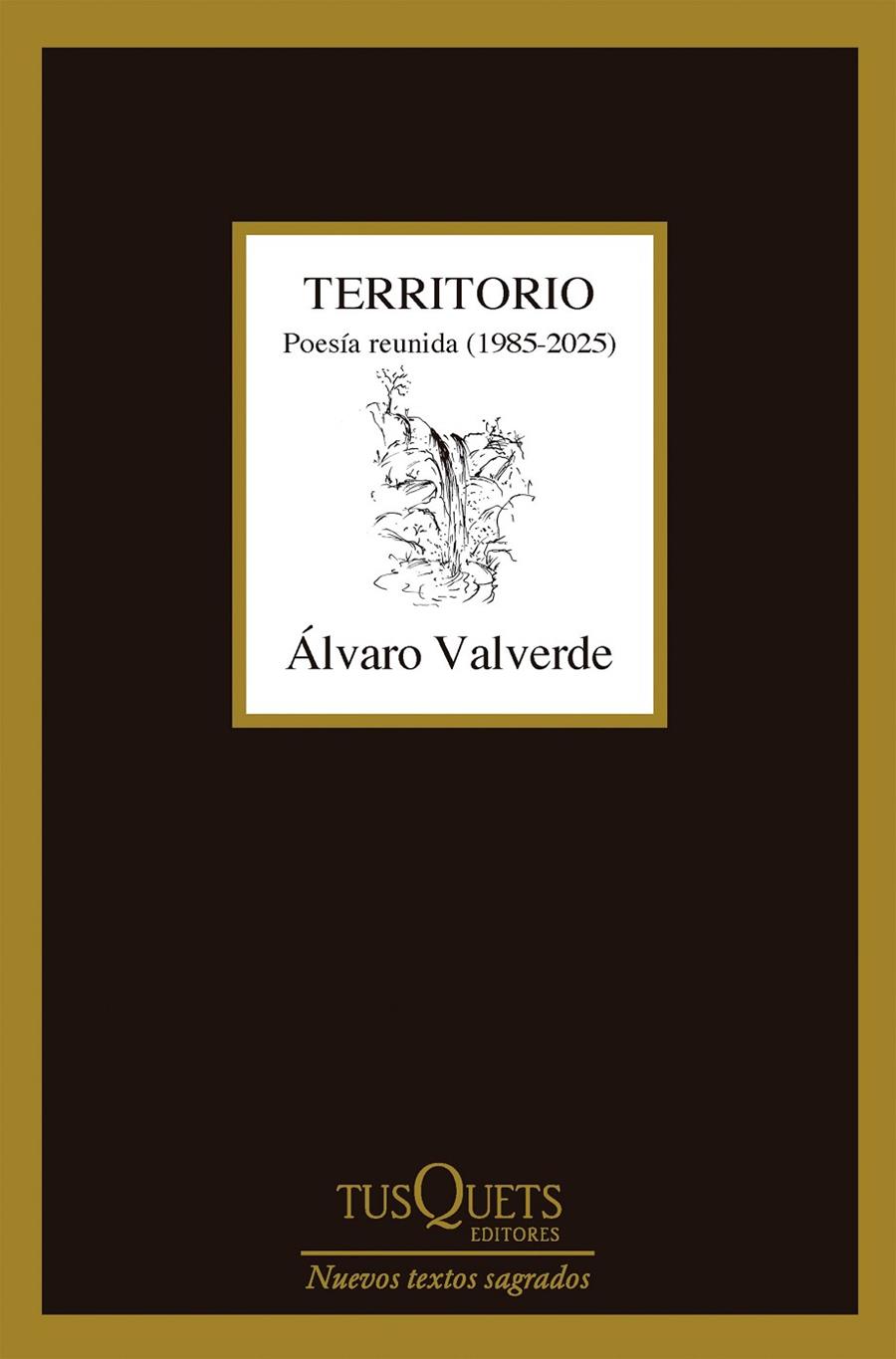 TERRITORIO. POESÍA REUNIDA (1985-2025) | 9788411077361 | VALVERDE, ÁLVARO | Galatea Llibres | Llibreria online de Reus, Tarragona | Comprar llibres en català i castellà online