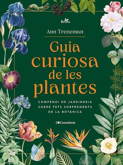 GUIA CURIOSA DE LES PLANTES | 9788413565354 | TRENEMAN, ANN | Galatea Llibres | Llibreria online de Reus, Tarragona | Comprar llibres en català i castellà online
