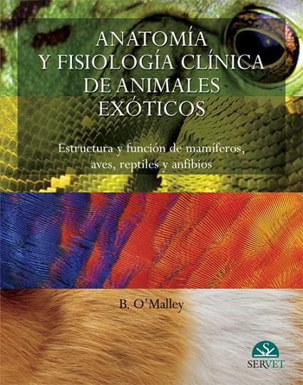 ANATOMIA Y FISIOLOGIA DE ANIMALES EXOTICOS | 9788493597115 | O MALLEY, B. | Galatea Llibres | Librería online de Reus, Tarragona | Comprar libros en catalán y castellano online