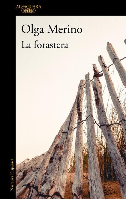 FORASTERA, LA | 9788420438450 | MERINO LOPEZ, OLGA | Galatea Llibres | Llibreria online de Reus, Tarragona | Comprar llibres en català i castellà online