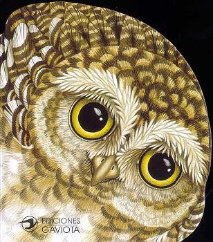 MOCHUELO EN LA NOCHE, UN | 9788439283645 | LORELLA RIZZATTI | Galatea Llibres | Librería online de Reus, Tarragona | Comprar libros en catalán y castellano online