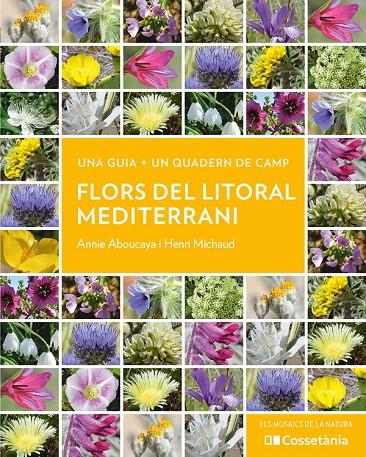 FLORS DEL LITORAL MEDITERRANI | 9788413564937 | ABOUCAYA, ANNIE / MICHAUD, HENRI | Galatea Llibres | Llibreria online de Reus, Tarragona | Comprar llibres en català i castellà online