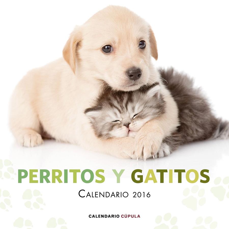 CALENDARIO PERRITOS Y GATITOS 2016 | 9788448021726 | Galatea Llibres | Librería online de Reus, Tarragona | Comprar libros en catalán y castellano online