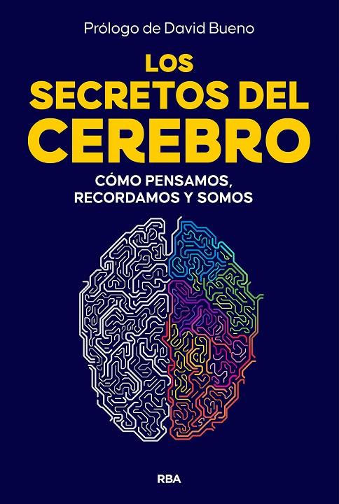 LOS SECRETOS DEL CEREBRO | 9788410981249 | Galatea Llibres | Librería online de Reus, Tarragona | Comprar libros en catalán y castellano online