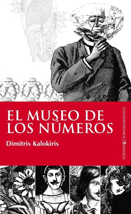 MUSEO DE LOS NUMEROS, EL | 9788496756205 | CALOKIRIS, DIMITRI | Galatea Llibres | Librería online de Reus, Tarragona | Comprar libros en catalán y castellano online