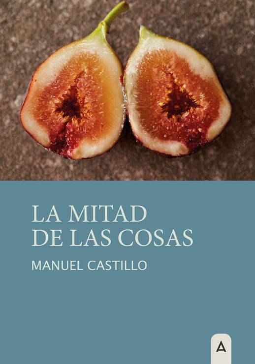 LA MITAD DE LAS COSAS | 9788418795954 | CASTILLO, MANUEL | Galatea Llibres | Llibreria online de Reus, Tarragona | Comprar llibres en català i castellà online