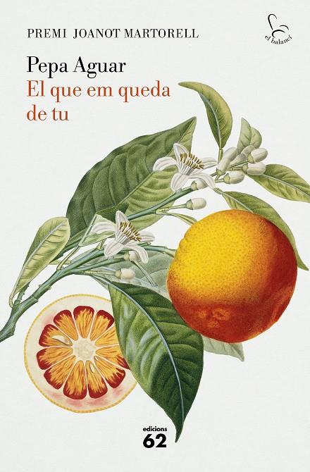 EL QUE EM QUEDA DE TU | 9788429779097 | AGUAR, PEPA | Galatea Llibres | Llibreria online de Reus, Tarragona | Comprar llibres en català i castellà online