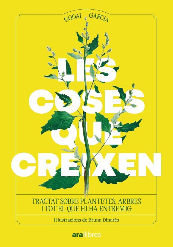 LES COSES QUE CREIXEN | 9788411731355 | GARCÍA, GODAI | Galatea Llibres | Llibreria online de Reus, Tarragona | Comprar llibres en català i castellà online