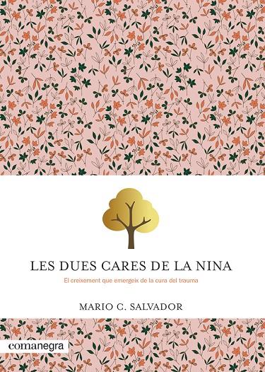 LES DUES CARES DE LA NINA | 9788410161047 | SALVADOR, MARIO C. | Galatea Llibres | Librería online de Reus, Tarragona | Comprar libros en catalán y castellano online