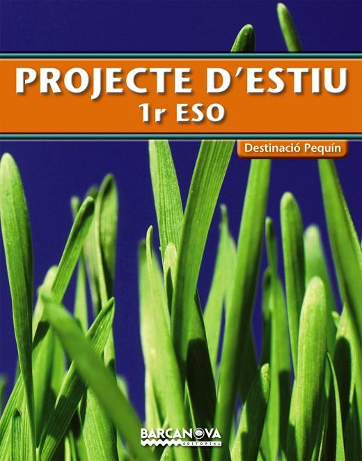 PROJECTE D'ESTIU 1 ESO QUADERNS DE VACANCES | 9788448925765 | Galatea Llibres | Llibreria online de Reus, Tarragona | Comprar llibres en català i castellà online