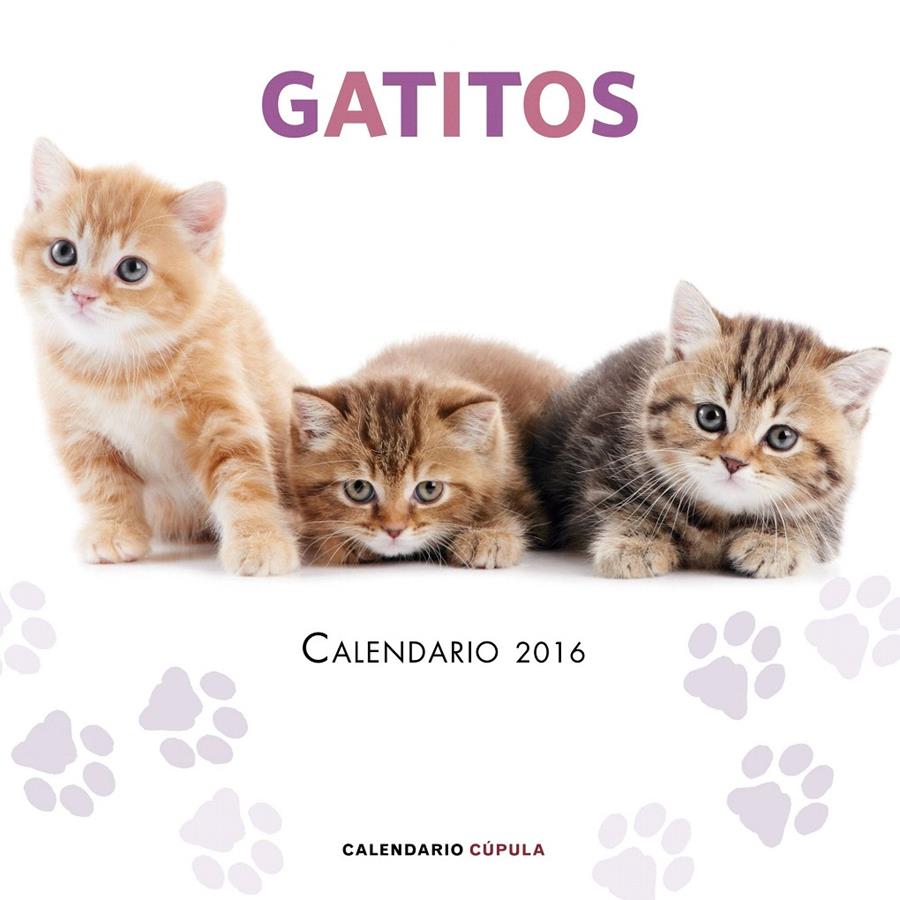 CALENDARIO GATITOS 2016 | 9788448021719 | Galatea Llibres | Librería online de Reus, Tarragona | Comprar libros en catalán y castellano online