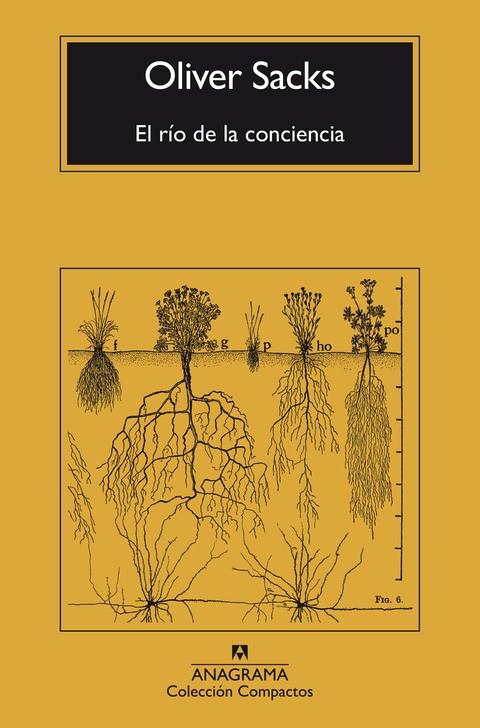 EL RÍO DE LA CONCIENCIA | 9788433946867 | SACKS, OLIVER | Galatea Llibres | Llibreria online de Reus, Tarragona | Comprar llibres en català i castellà online
