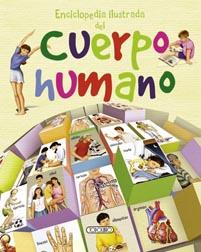 ENCICLOPEDIA DEL CUERPO HUMANO INFANTIL | 9788499133201 | TODOLIBRO, EQUIPO | Galatea Llibres | Librería online de Reus, Tarragona | Comprar libros en catalán y castellano online