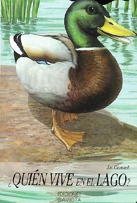 QUIEN VIVE EN EL LAGO? | 9788439283171 | CHANNELL | Galatea Llibres | Librería online de Reus, Tarragona | Comprar libros en catalán y castellano online
