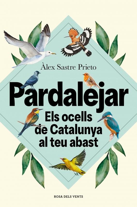 PARDALEJAR | 9791387653996 | SASTRE PRIETO, ÀLEX | Galatea Llibres | Llibreria online de Reus, Tarragona | Comprar llibres en català i castellà online