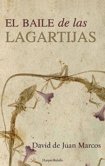 EL BAILE DE LAS LAGARTIJAS | 9788491390473 | DE JUAN MARCOS, DAVID | Galatea Llibres | Librería online de Reus, Tarragona | Comprar libros en catalán y castellano online